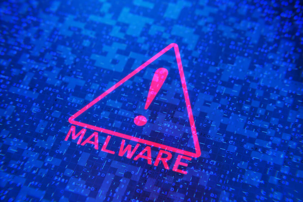 Trojans, bots, worms and viruses are types of malware